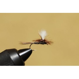 Fly Shop Complete Fly Set SD Selection Dry Fly Yamame SP1