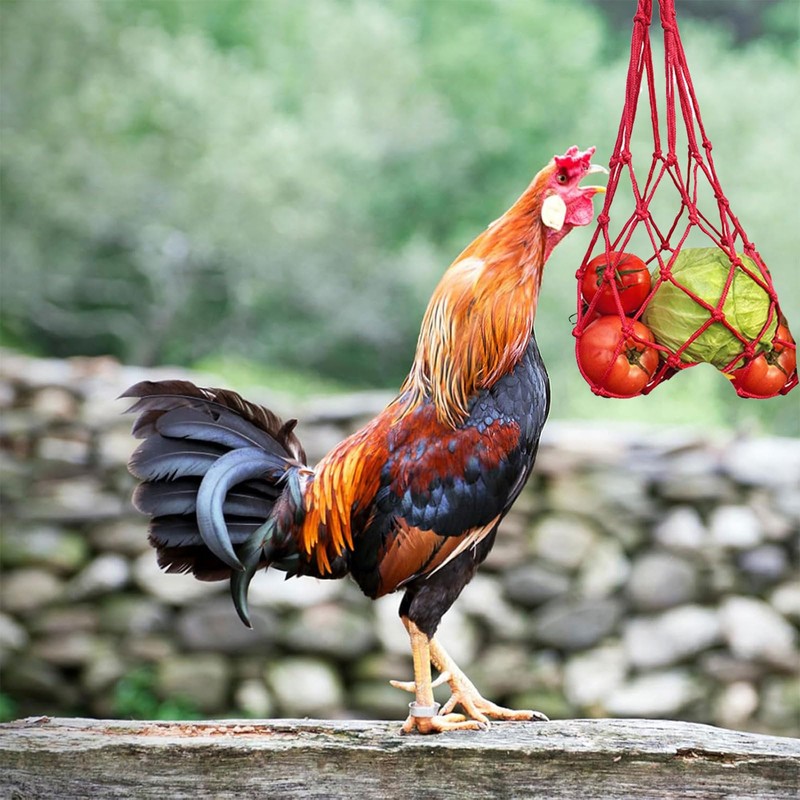 CUVZORA Pack of 3 Chicken Feeder Net for Hanging, Hanging