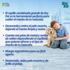 Fancypets Dry Pet Cepillo Doble Grande para Perro, con Cerdas