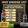 Penhoment 8in1 2900mg Oil of Oregano Drops with Black Seed