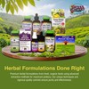 Herbs Etc. Lymphatonic Softgels - Lymph System Support - Support
