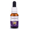 Living Essences Brown Boronia 15ml