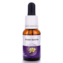 Living Essences Brown Boronia 15ml
