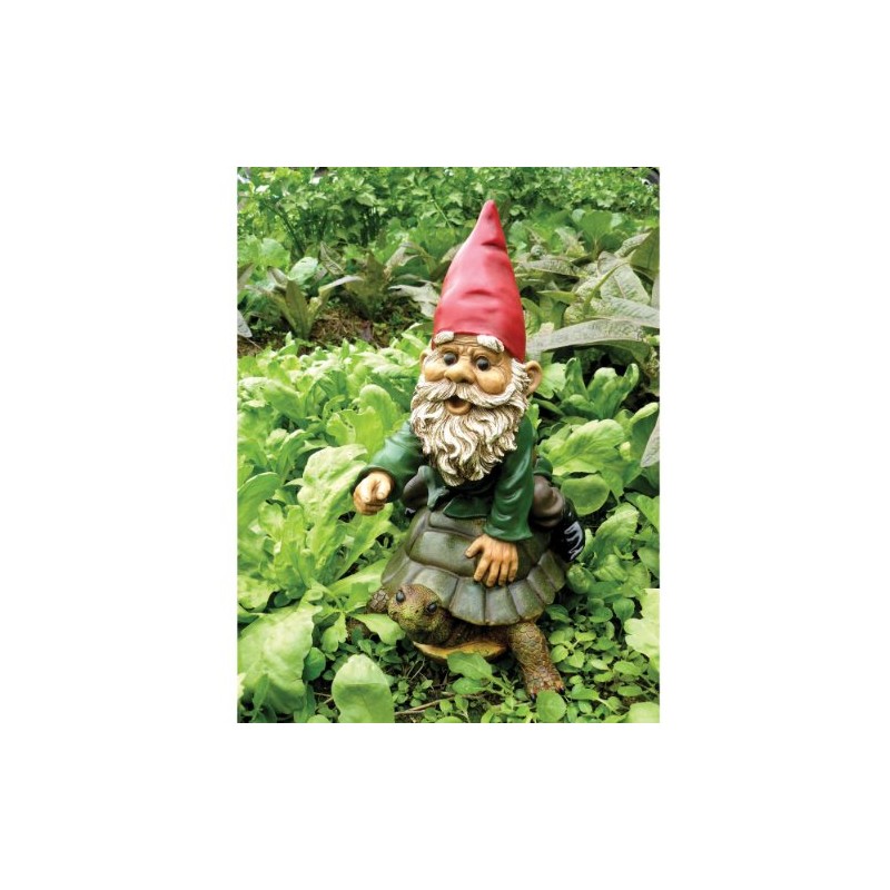 Garrold Gnome on a Turtle by Michael Carr Designs -