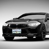 Spider Web License Plate Frames - 2 Pack Front Rear