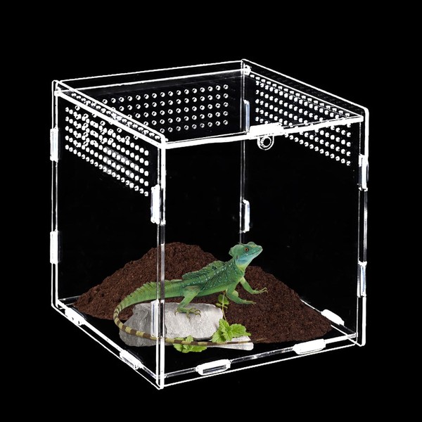 Reptile Feeding Box, Terrarium Acrylic, Jumping Spider Terrarium, Terrarium Snails,