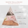 Pantene Miracles Treatment, Fine Fragrance, White Tea & Peony Refill,