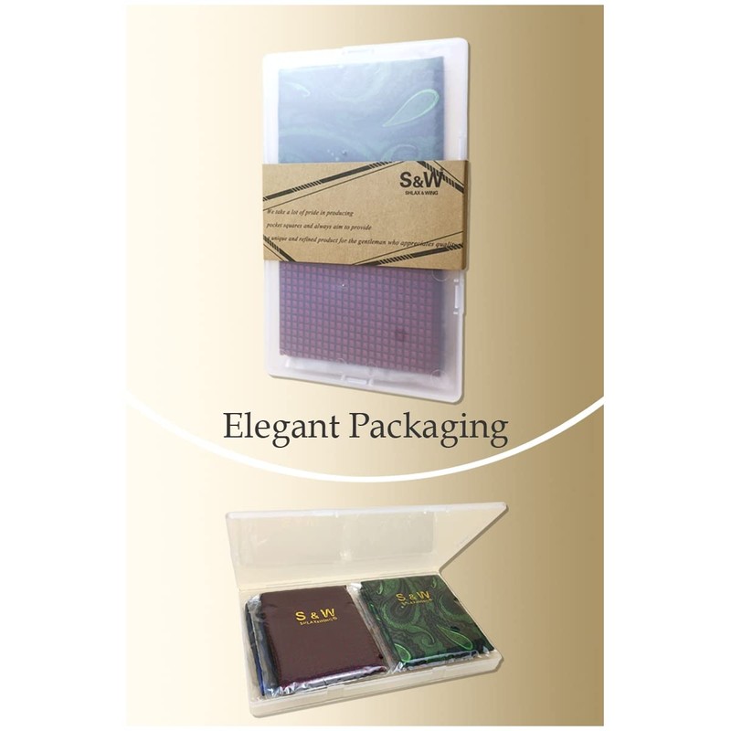 Shlax&Wing Pack of 5 Assorted Handkerchiefs for Men Square Size
