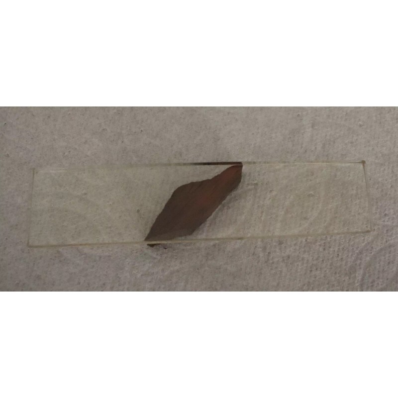 Neo-Ceram Glass Platen 1" x 3 3/8 for Abrasive Belt