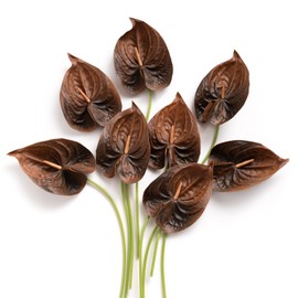 Ling's Moment Anthurium Artificial Flowers, 8pcs Faux Anthurium Stems, PU Foam Greenery Plant for DIY Wedding Bouquets Centerpieces Arrangements Bridal Shower Party Home Decorations, Brown