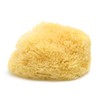 Neptune Sea Wool Sponge – Natural Mediterranean Bath Sponge, Hand-Cut,