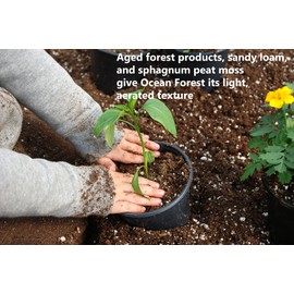 FoxFarm Ocean Forest Potting Soil Mix Indoor Outdoor for Garden and Plants | Plant Fertilizer | 12 Quarts | The Hydroponic City Stake