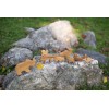 PoppyBabyCo Natural Wooden Forest Animals set of 9