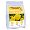 Jarteela - Dandelion Leaf & Root Tea Bags - 2g