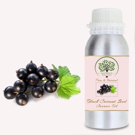 RADANYA Ayurveda RADANYA Ayurveda Black Current Seed Carrier Oil 100% Pure & Natural Cold Pressed Carrier Oil