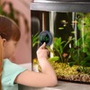 PAIZOO Fish Tank Digital Thermometer Accurate LED Display to ±0.9°F