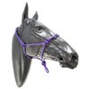 ARBO-INOX Knot Halter Simple without Lead Rope Special Offer (COB