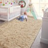 Andecor Soft Fluffy Bedroom Rugs, 5 x 8 Feet Indoor