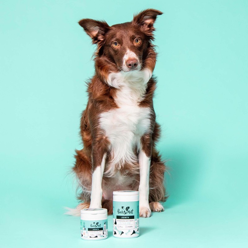 Pooch & Mutt - Daily Joint Care Supplement for Large