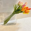CYS EXCEL Glass Book Vase (H:6" Open:7"x2") Round Edge Oval