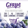 SINGLES TO GO! Welch's Singles To Go Grape Drink Mix