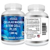 VITAMISAN Beta Bears - The Best Tasting Pump Gummy for
