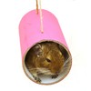 Chewchewbs Totally Degu 4 pack (Pink)