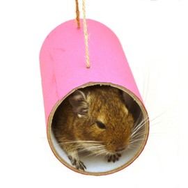 Chewchewbs Totally Degu 4 pack (Pink)