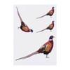 4 x 'Pheasant ' Temporary Tattoos - Water Resistant, Skin-Safe,