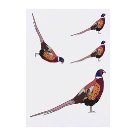 4 x 'Pheasant ' Temporary Tattoos - Water Resistant, Skin-Safe, Non-Toxic Transfers, Mixed Sizes (TO00060030)