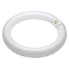 Bell Lighting 22W T9 Triphosphor Circular Tube - 4 Pin,