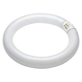 Bell Lighting 22W T9 Triphosphor Circular Tube - 4 Pin, 4100K