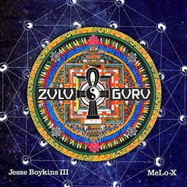 Zulu Guru (Vinyl+Mp3) [Vinyl LP]