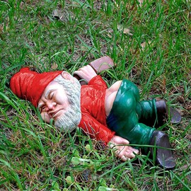 Garden Gnome, Garden Ornaments Outdoor, Garden Gnome Statue Naughty Garden Gnome Funny Gnome, Indoor or Outdoor Garden Decorations Funny Resin Statues (Red)