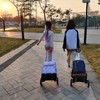 Rolling Backpack Trolley Cart with Stair-Climbing Quiet Wheels,Foldable Aluminum Frame,Adjustable