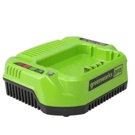 GreenWorks NEW Genuine Original OEM Greenworks Pro 60 Volt 60V Battery Charger CAC801