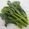 Chinese Broccoli-1000 Seeds, Kai Lan, Gai Lan, Brassica Alboglabra, Open