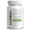 Ceylon Canela Azúcar Articulación Antiinflamatoria y Antioxidante