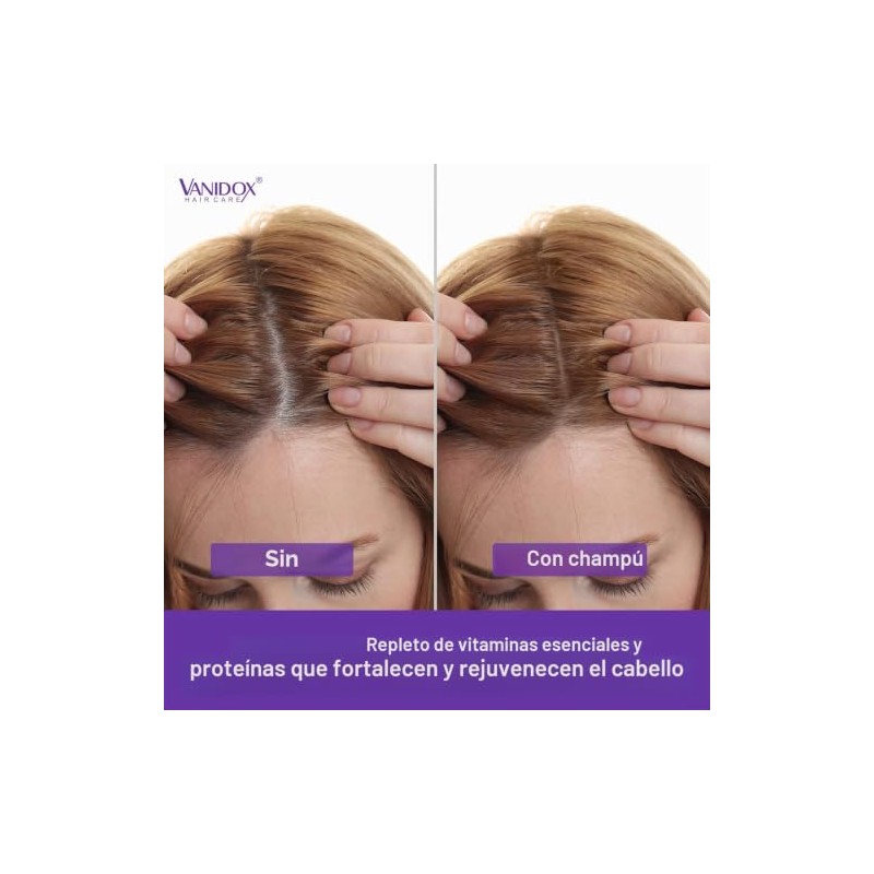 Champú y acondicionador Tea Tree Lavender Mint con aceite de