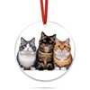 Generic Cat Christmas Tree Ornament - 3.15'' Diameter | Clear