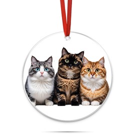 Generic Cat Christmas Tree Ornament - 3.15'' Diameter | Clear Glass Acrylic Christmas Hanging Decorations for Christmas Tree and Car, Cute