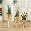 Woven Flower Pot Faux Rattan Planter High Living Room Floor