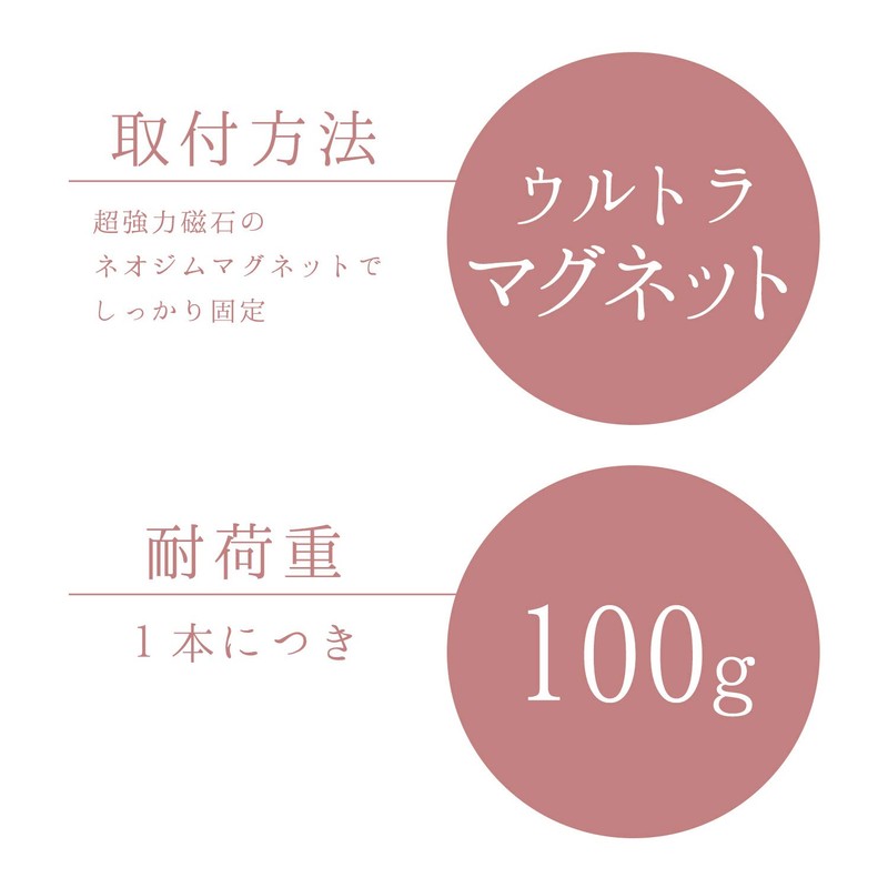 レック SG ふきん掛け ウルトラ マグネット