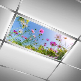 2 Pack Fluorescent Light Cover for Ceiling Light - Flower Bush Magnetic Light Covers Classroom, Light Filters Drop Fluorescent Light Shade Panel for Office Home School,4 x 2 Ft