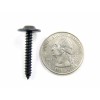 SFS Datsun Interior Trim Screws- #8 x 1/2" to 1"