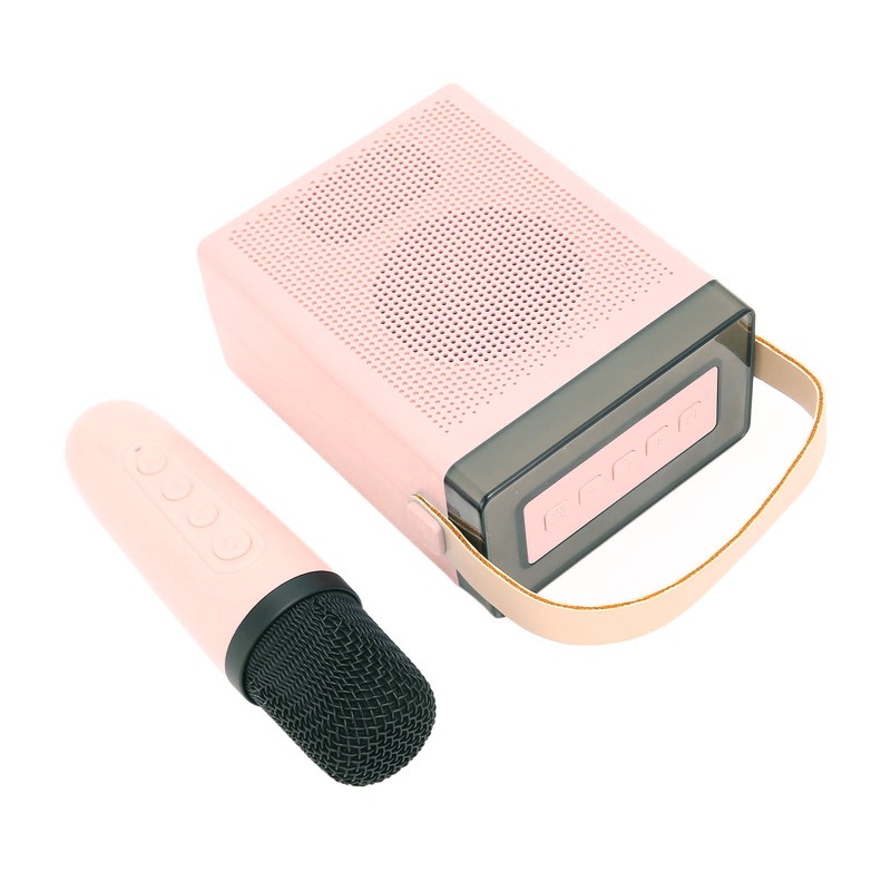 Karaoke Machine Set with RGB Light Rechargeable Bluetooth Speaker with
