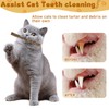 WoLover Silvervine Sticks for Cats, Natural Catnip Matatabi Chew Sticks