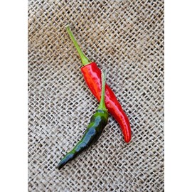 Black Cobra Goats Weed Chile Heirloom Pepper Premium Seeds for Planting Packet + More