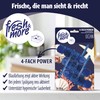 Fresh & More Toilet Stone Scented Blue Rinse Antibacterial 9