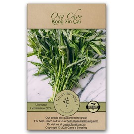 Gaea's Blessing Seeds - Ong Choy Seeds - Kong Xin CAI Kangkong - Non-GMO Seeds with Easy to Follow Planting Instructions 94% Germ Rate (Pack of 1)